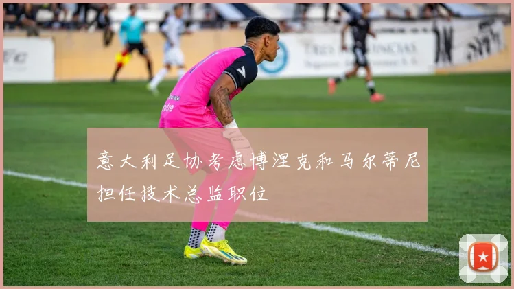意大利足协考虑博涅克和马尔蒂尼担任技术总监职位